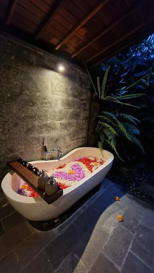 Gæstehus Aix Cottage Ubud